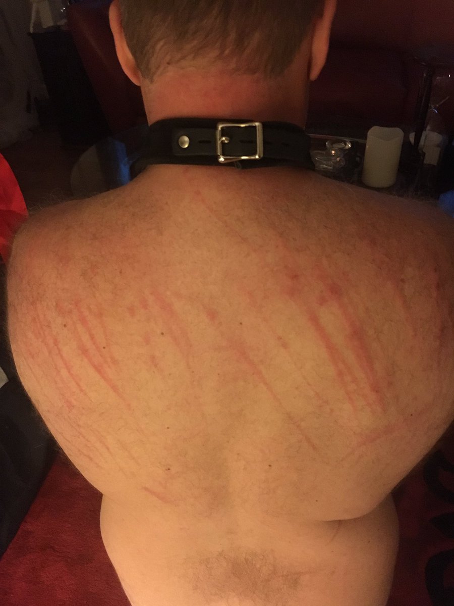 SamanthaMuscle's tweet photo. It was sinful Sunday w MY @FuzzyBunnySlave he needed to bow to HIS Goddess & feel her whip! Used O/our new rotating Cock on him as well! As I news to bend over MY Slave & show him HIS Goddesses powerful thrust! Then it’s nice when MY slave cooks for me! #collaredslave #HISGoddess https://t.co/VhWlydCOft