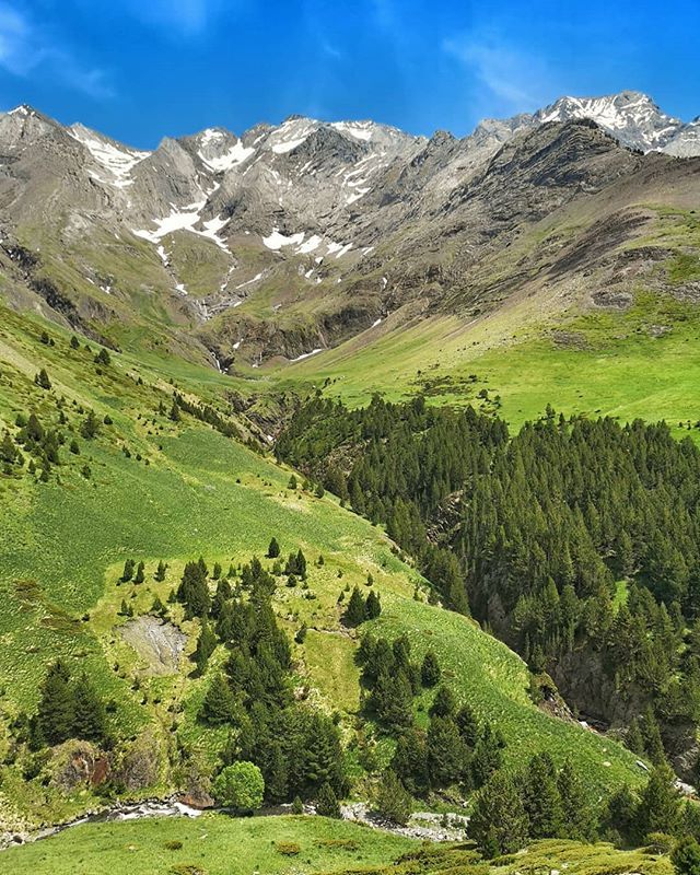 elporquet's tweet photo. Del regne vegetal al regne mineral. El massís del Posets des de la preciosa vall d'Añes Cruzes.
.
.
.
#posets #picoposets #picogemelos #picoveteranos #añescruces #añescruzes #pyrenees #pyrenees_pics #loves_pyrenees #fotopirineos #inpirineos #instapirineo… https://t.co/6Qh8tM8yfL https://t.co/bKHr7MQ2Wd
