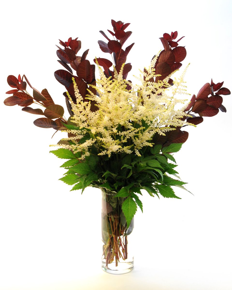 Experience some Cotinus Inspiration!  
sunvalleyfloralfarms.blogspot.com/2019/07/cotinu…

#AmericanGrown #Cotinus #Tulips #Lilies #SunValleyFloralFrams #SmokeBush #FloralDesign