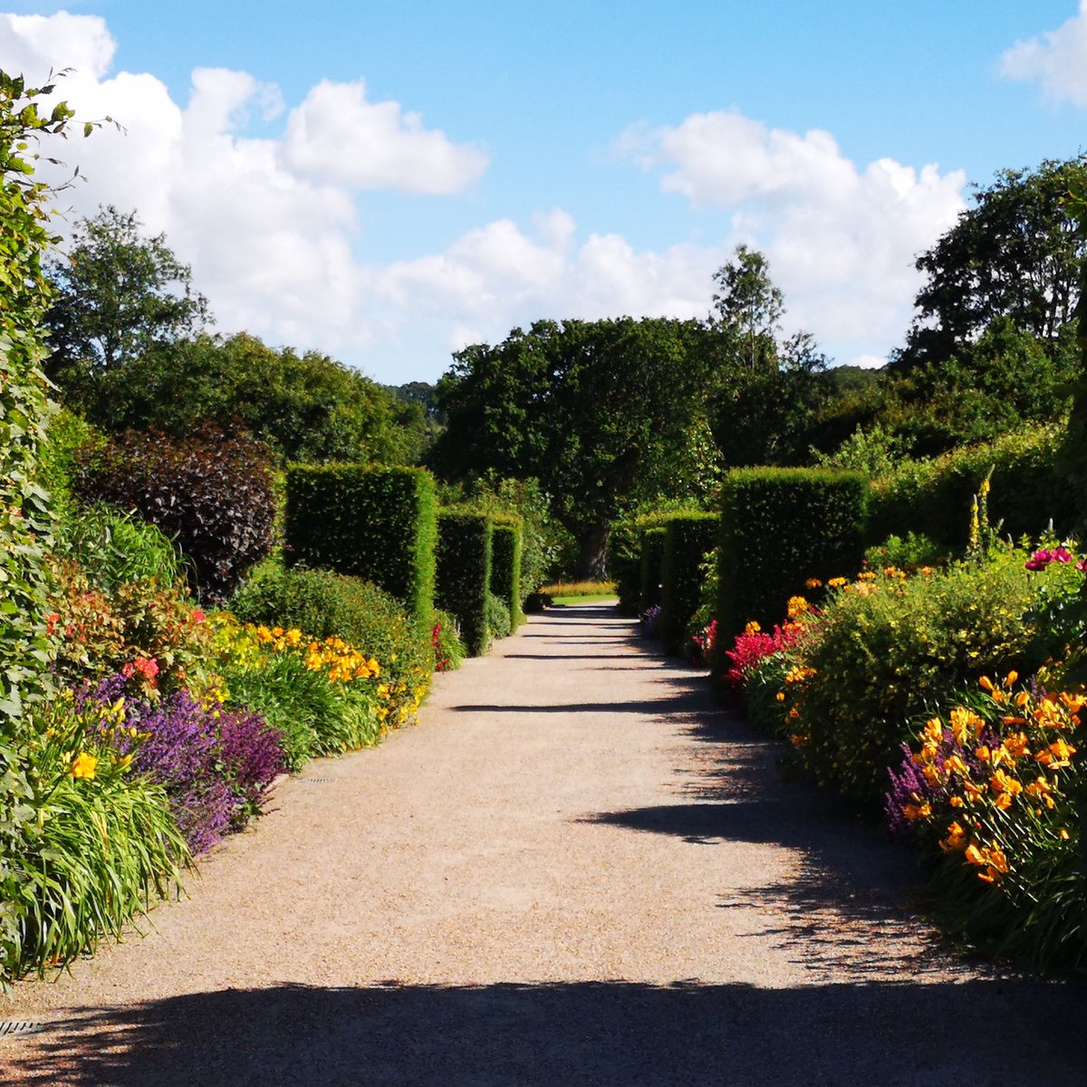 RHS_Rosemoor's tweet photo. Stunning colour at every turn is what greets #Rosemoor visitors. Not just the #rosegardens but the #longborders too.
#gardenlovers 
@lovenorthdevon @VisitDevon @brendhotels @GreatDevonDays #summergardendays #daysout https://t.co/UjoEV54nfF