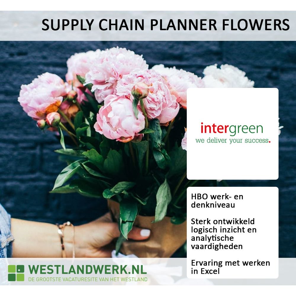 Westlandwerk.nl tweet media