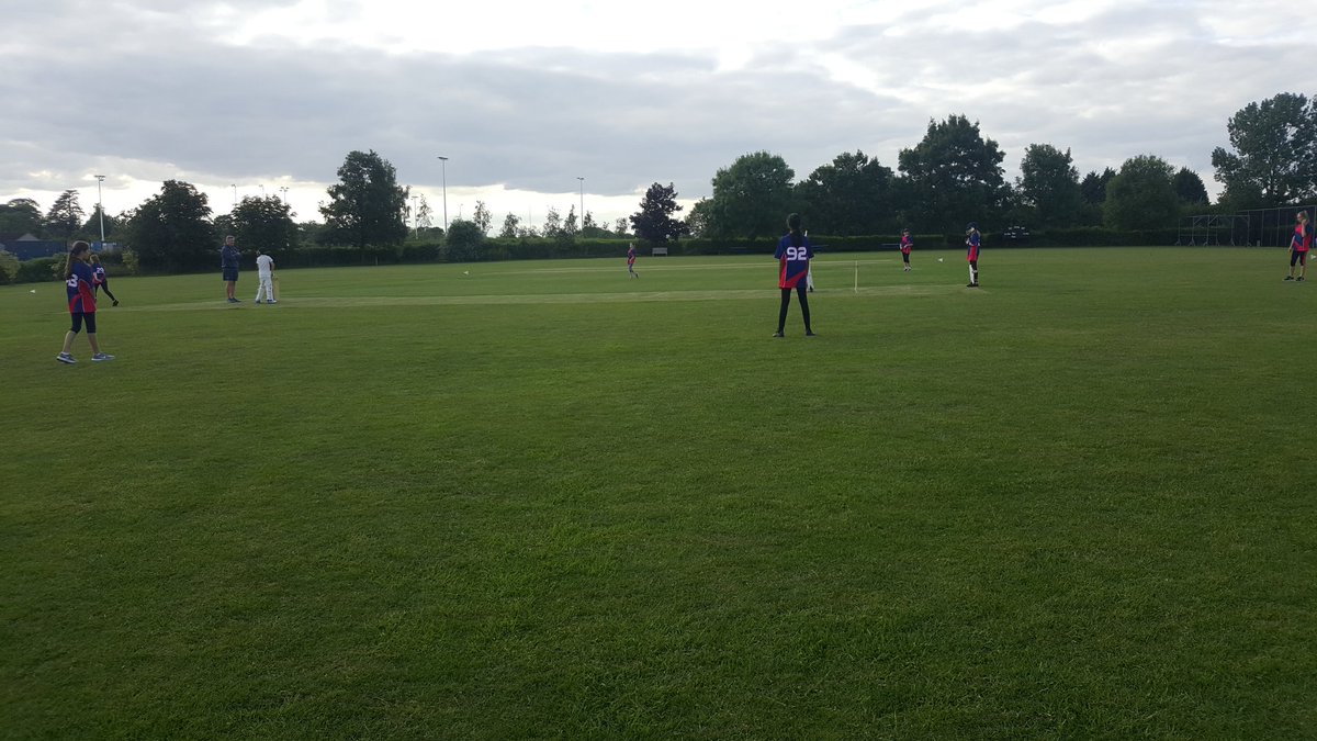 Bristol Phoenix CC tweet media