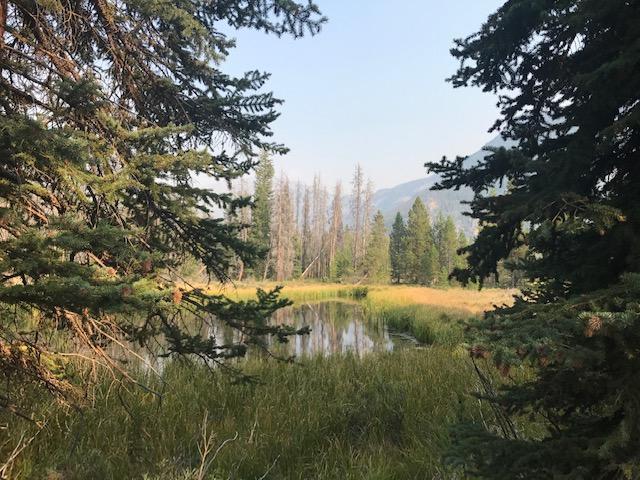 MandyGoHogs's tweet image. A SEASON OF WAITING… mygoodhisglory.com/2019/07/02/a-s…