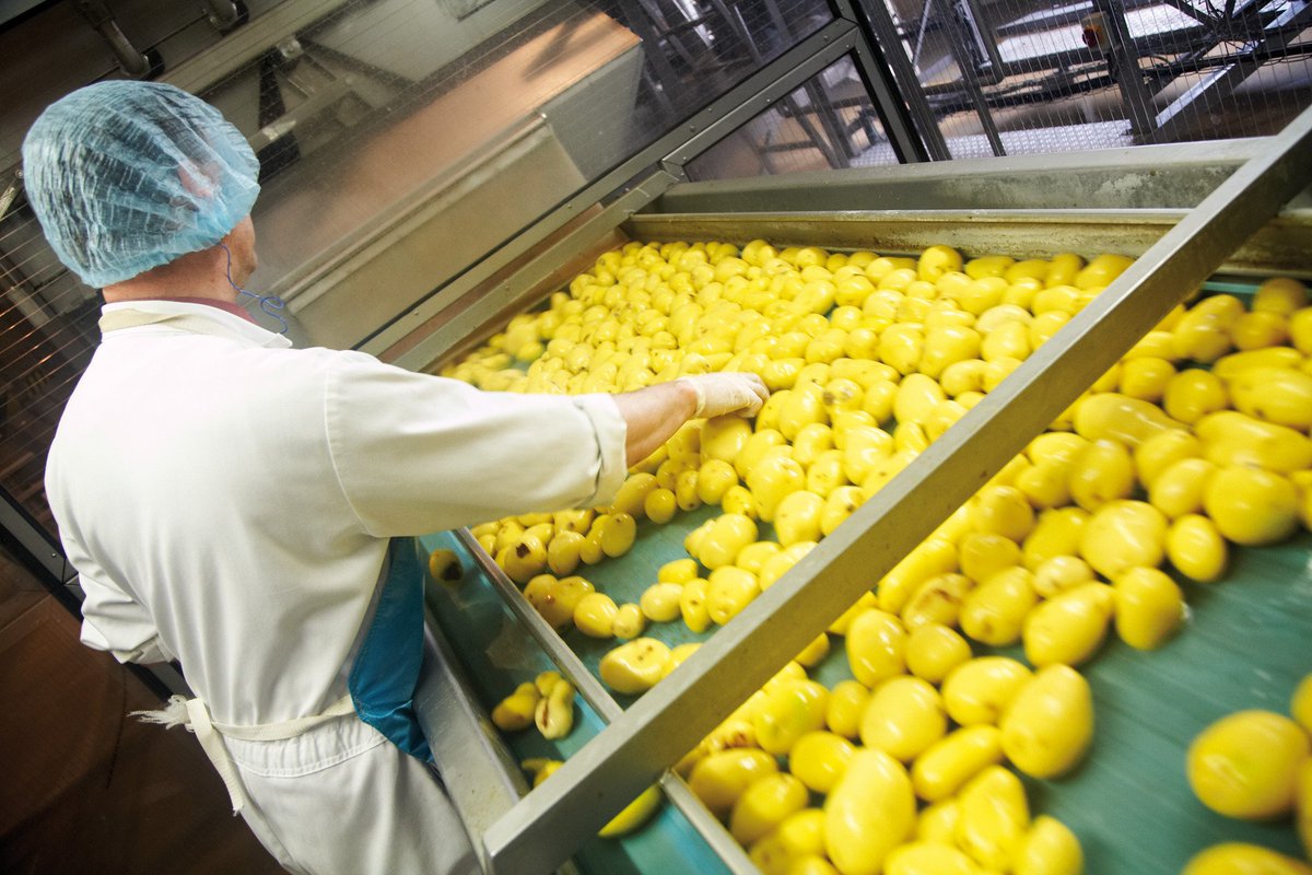 ForboMovement's tweet image. Two new PVC types that withstand sub-zero temperatures were added in April to the especially hard-wearing Transtex™ conveyor belt line. 
forbo.com/movement/en-gl…