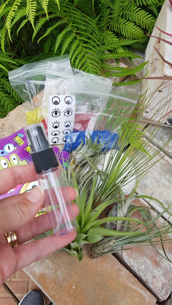 LoveTillys's tweet photo. Summer Holidays will soon be here.   Keep the kids busy with our crafty air plant kit! https://t.co/cuoiyvPORk