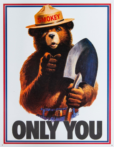 VSFSatState's tweet photo. Attention college students: Smokey the Bear wants you! The
@forestservice is looking for virtual interns to help our national
forests thrive. Check out https://t.co/XTGPYFtUgZ &amp; #applyinJuly. Remember, Only You Can Prevent Forest Fires and virtually intern at the Forest Service. https://t.co/vAIUFikfKF