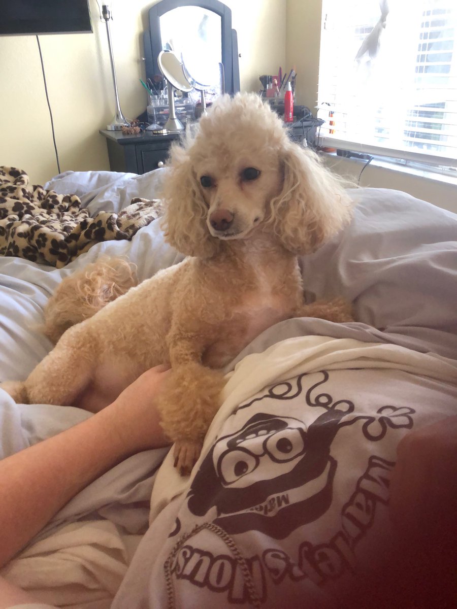 All ready for the Fourth of July over here!! 👌😀😀😀😀