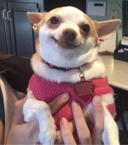 captsiron's tweet image. me watching                me watching
Mysterio                  Jake Gyllenhaal