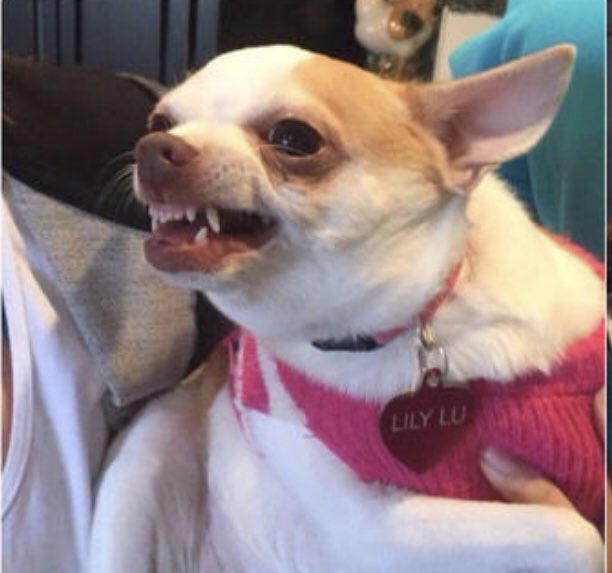 captsiron's tweet image. me watching                me watching
Mysterio                  Jake Gyllenhaal