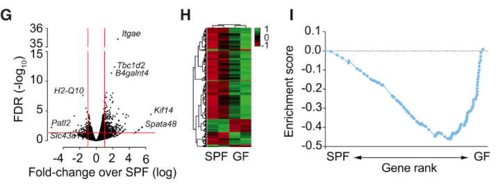 mmw_lmw's tweet photo. #CD8 #Memory_T_cells and the #MicroBiota | Butyrate promotes memory potential of activated CD8+ T cells | Sammy Bedoui @TheDohertyInst @ImmunityCP https://t.co/pvLA6T9XGM https://t.co/mgYmEGcGPz