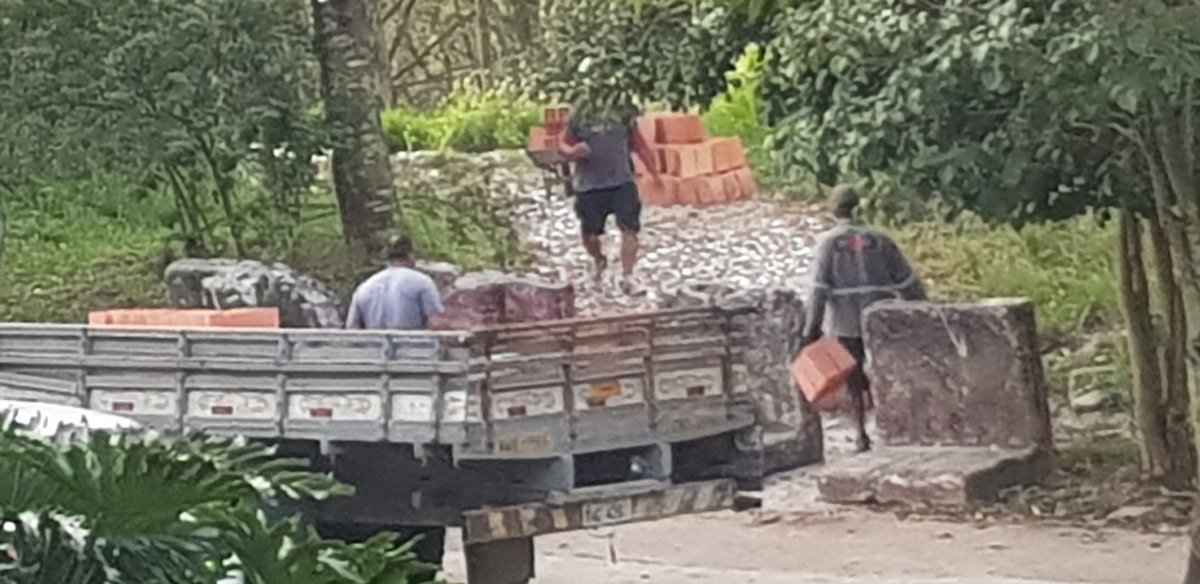 Fabio Oliveira Costa tweet media