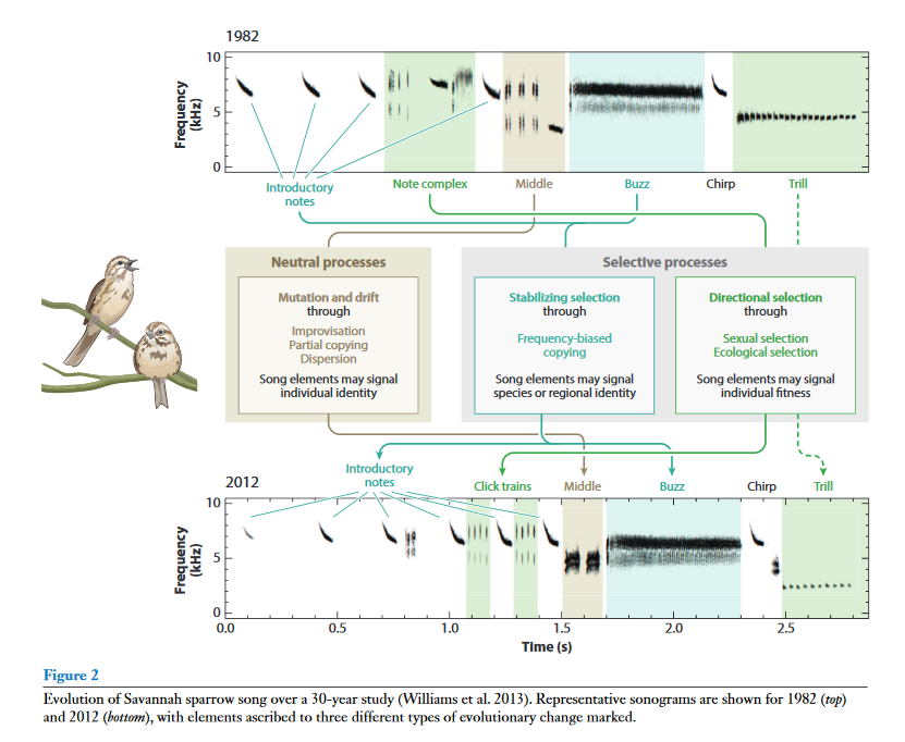 #CulturalEvolution in #Animals

Article by Andrew Whiten in Annual #Review of #Ecology, #Evolution, and #Systematics on the #cultural transmission of #behavior through social #learning in #vertebrates and #invertebrates

#EvolutionaryBiology #Ecology #Behaviour