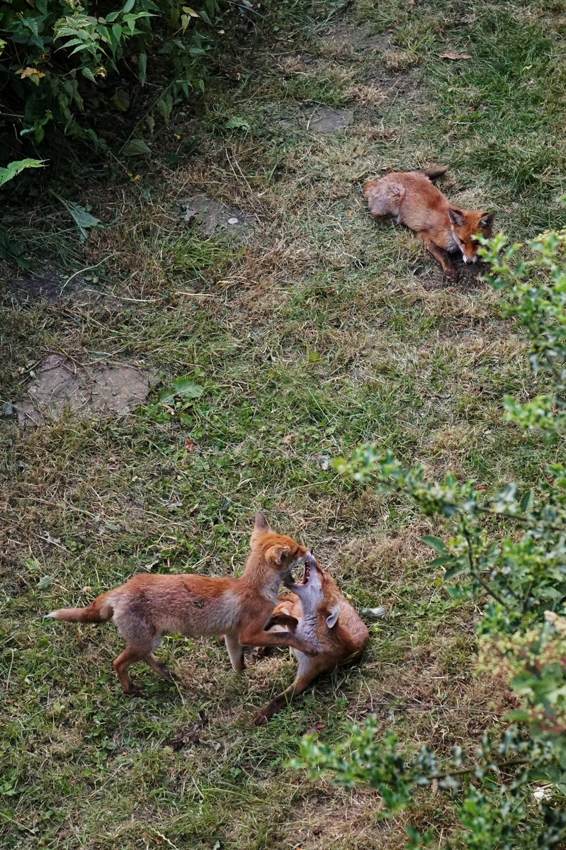 Flora Baker tweet media