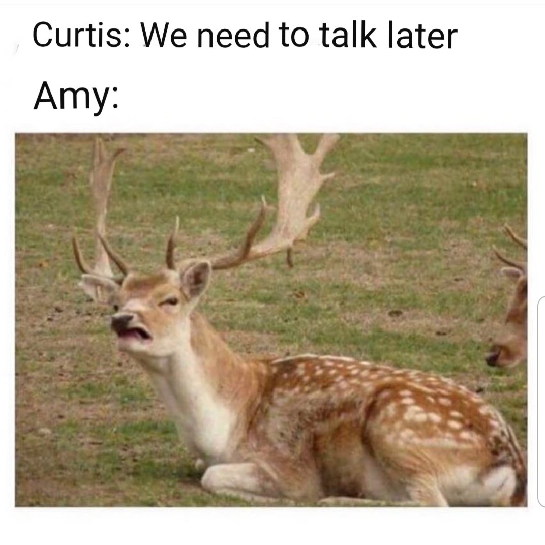 OliverJones91's tweet photo. Looool #LoveIsland https://t.co/7EzFMZyX4O