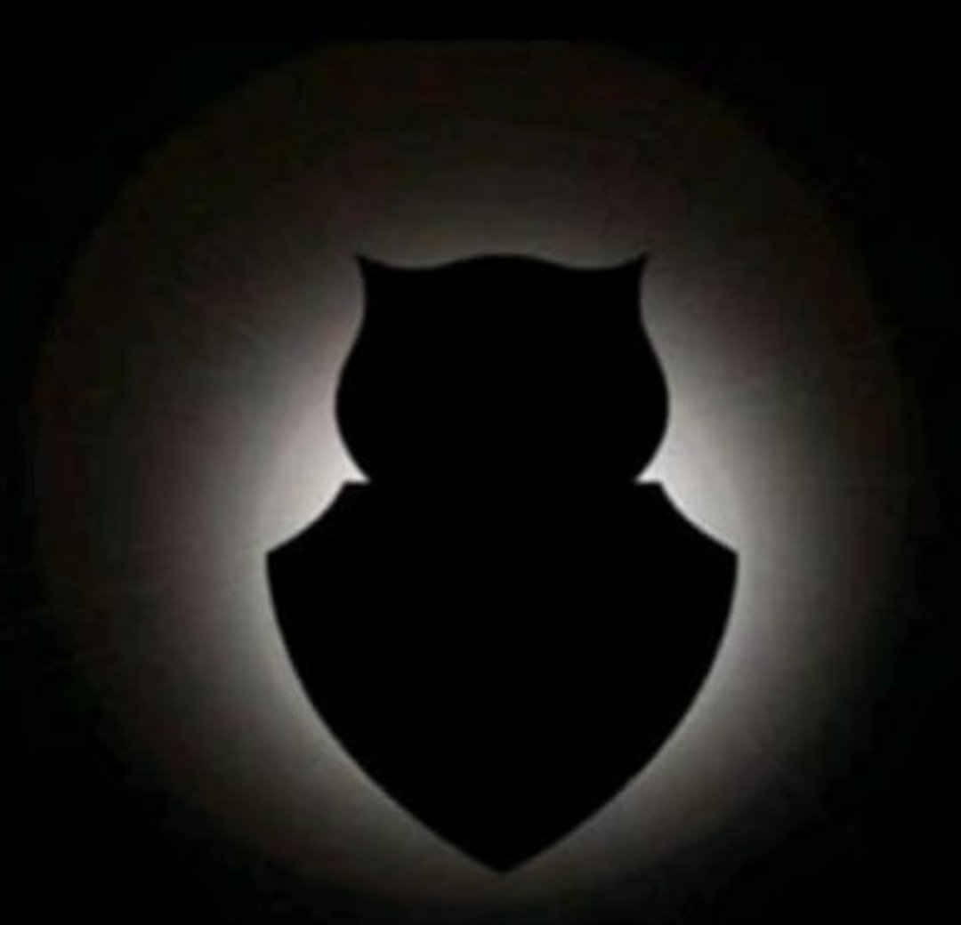 CULTURA_AZUL's tweet image. #EclipseSolar2019 #EclipseChile