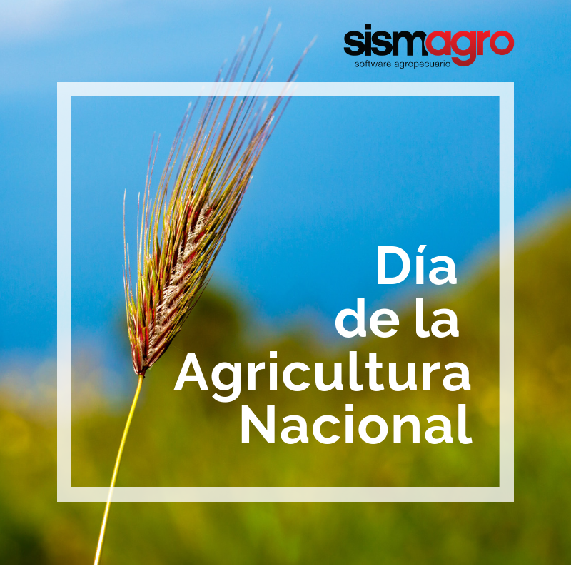 Sismagro's tweet photo. En Argentina, 2 de Julio - Día de la Agricultura Nacional 🌾. Nada más hermoso que la industria agropecuaria.

Saludos a todos en Argentina 🇦🇷

#Agricultura #AgTech #Argentina #Campo https://t.co/HFrANltE3D