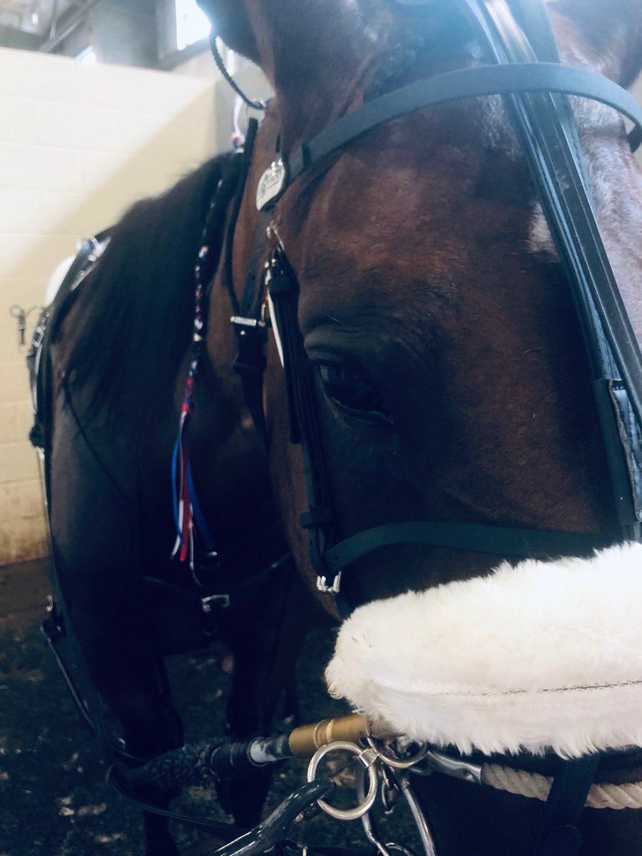 ZingaleRacing's tweet photo. Hybrid Heidi is about to go out on the track at @DownsAtMSP! 8th race 8hole with @Bradirvine5150 driving. ❤️💙 https://t.co/CW9UHWZDWU