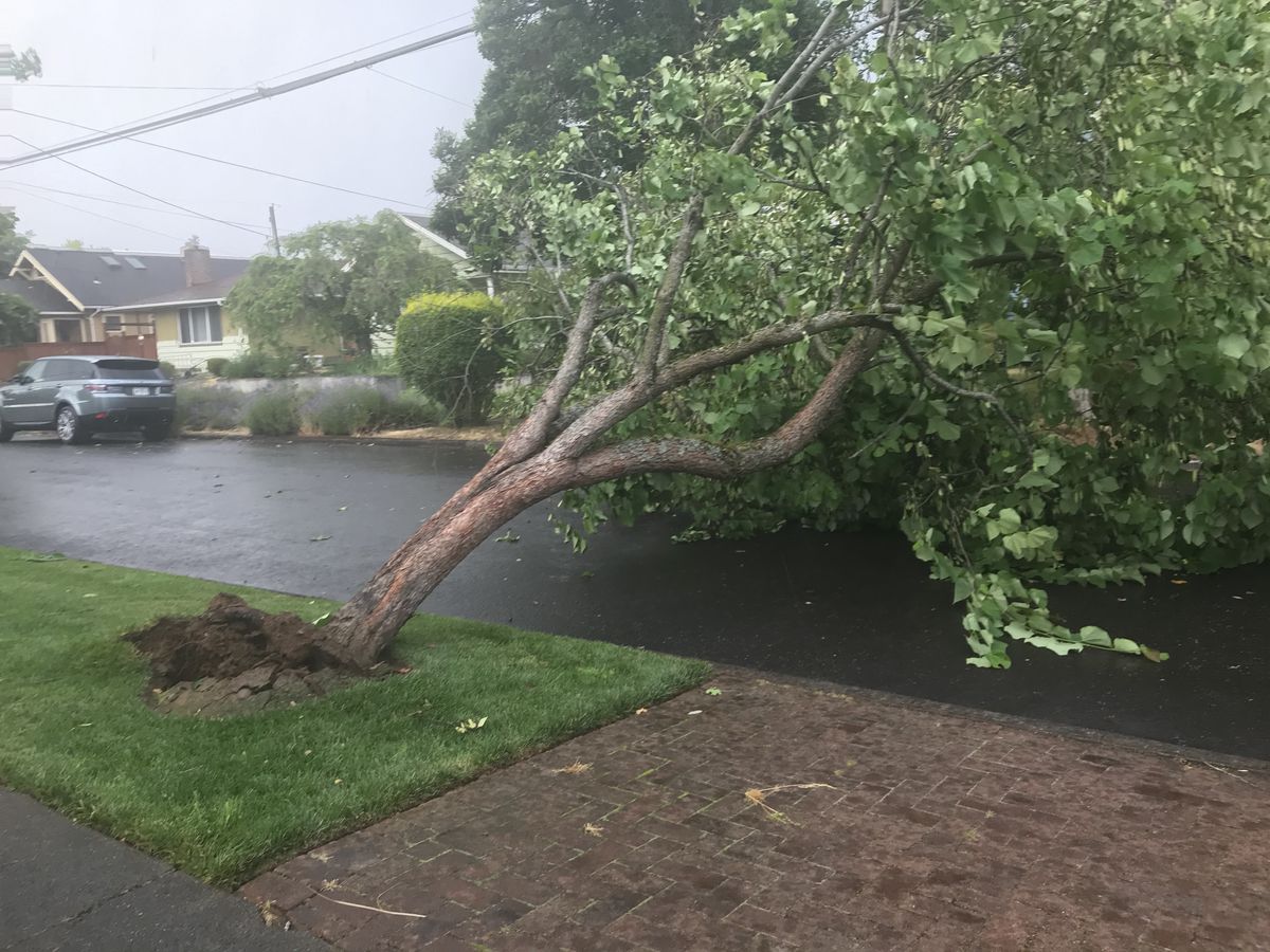 Oregonian's tweet photo. NE Portland tornado lasted 6 minutes, traveled 1 mile, authorities say https://t.co/SfACvyRqta https://t.co/gnxs9NJoS4