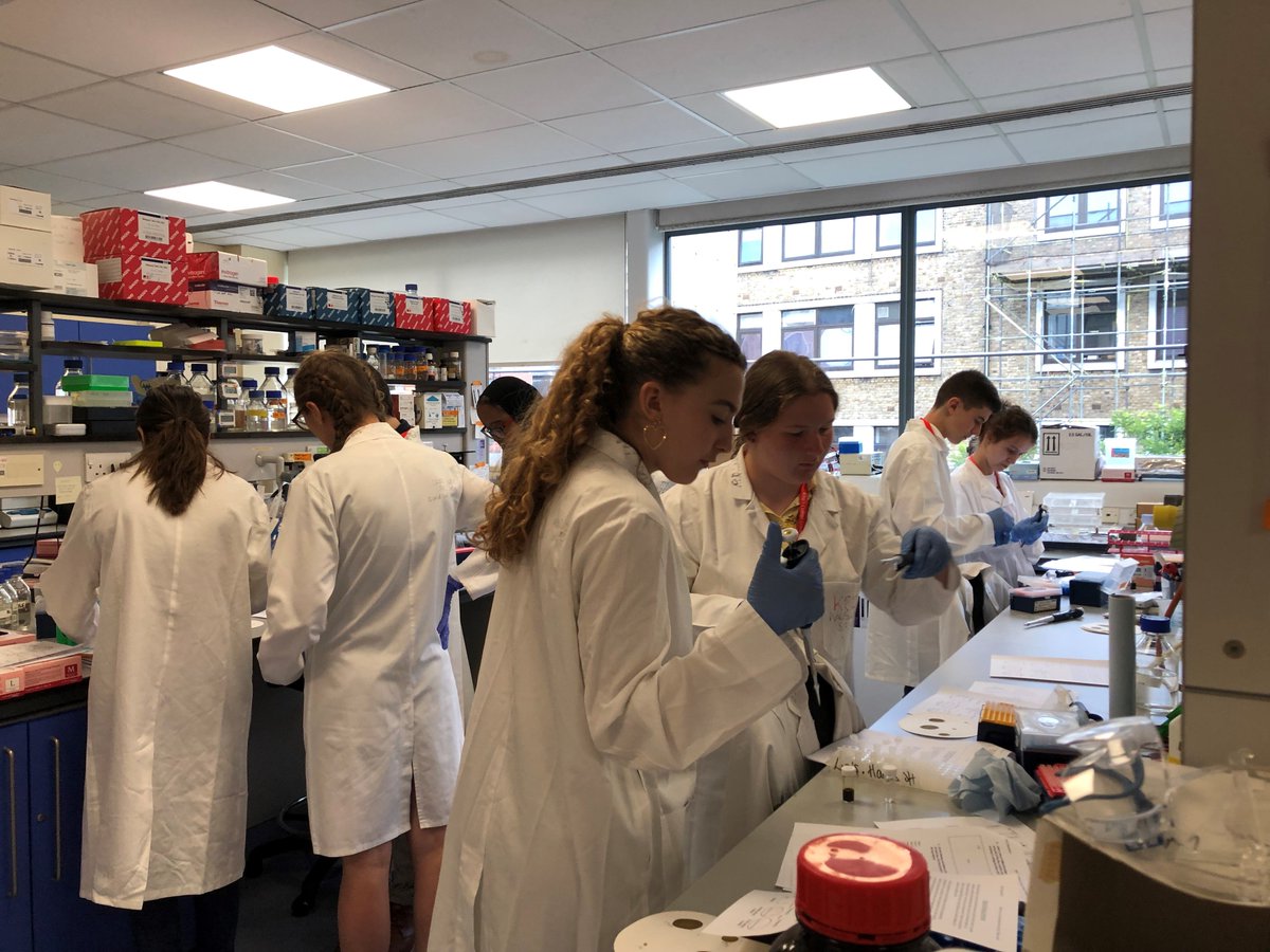 BradburyLab's tweet image. Work Experience Class of 2019 off to a great start! Learning essential lab skills @KingsIoPPN #getin2science #NextGenerationScientists @in2scienceUK
