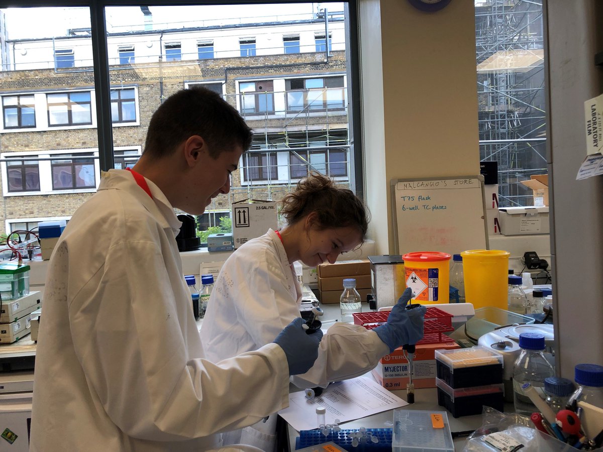 BradburyLab's tweet image. Work Experience Class of 2019 off to a great start! Learning essential lab skills @KingsIoPPN #getin2science #NextGenerationScientists @in2scienceUK