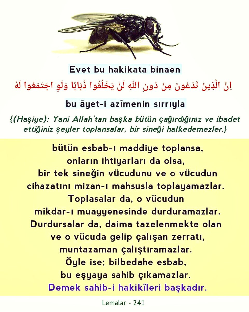 nurpaylasimlari's tweet photo. #hakikat #sinek #ayet #ibadet #Allah #esbab #sebep #ihtiyar #irade #mizan #zerrat #zerre #sahip #lemalar #bediüzzaman #saidnursi #risaleinur #islam #kuran #tefsir #iman #din #inanç #müslüman #kitap #kainat #evren #doğa #bilim #twitter https://t.co/LDulo3p3HB