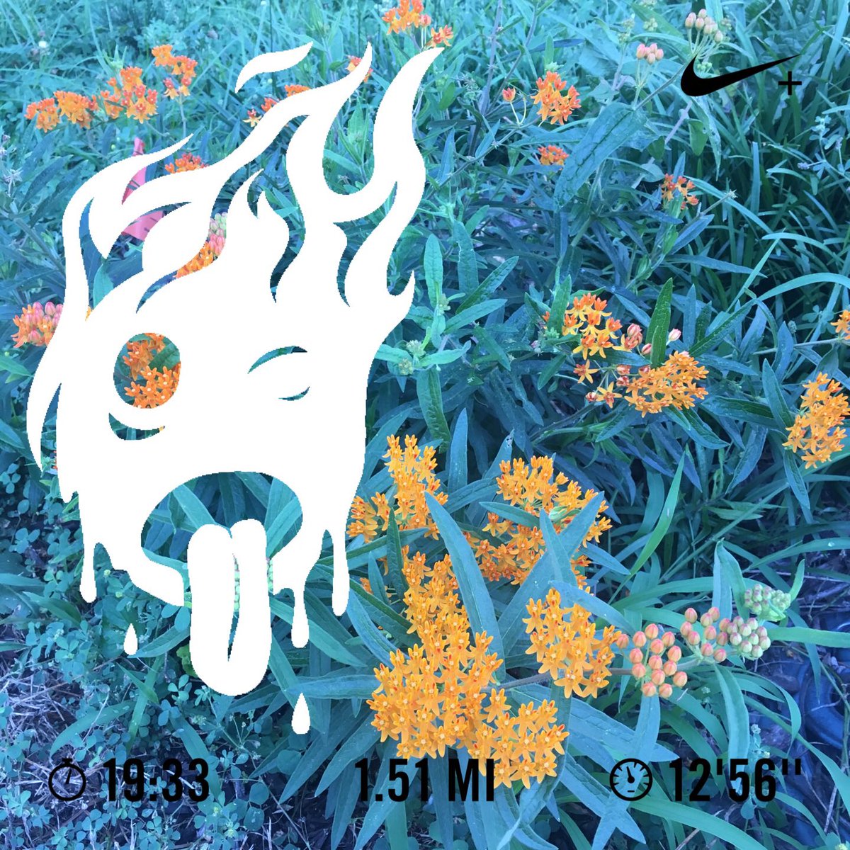 gsqrd's tweet image. Ran 1.51 miles with Nike⁠ Run Club #benchmarkrun  #ntc #nrc #rkrunner