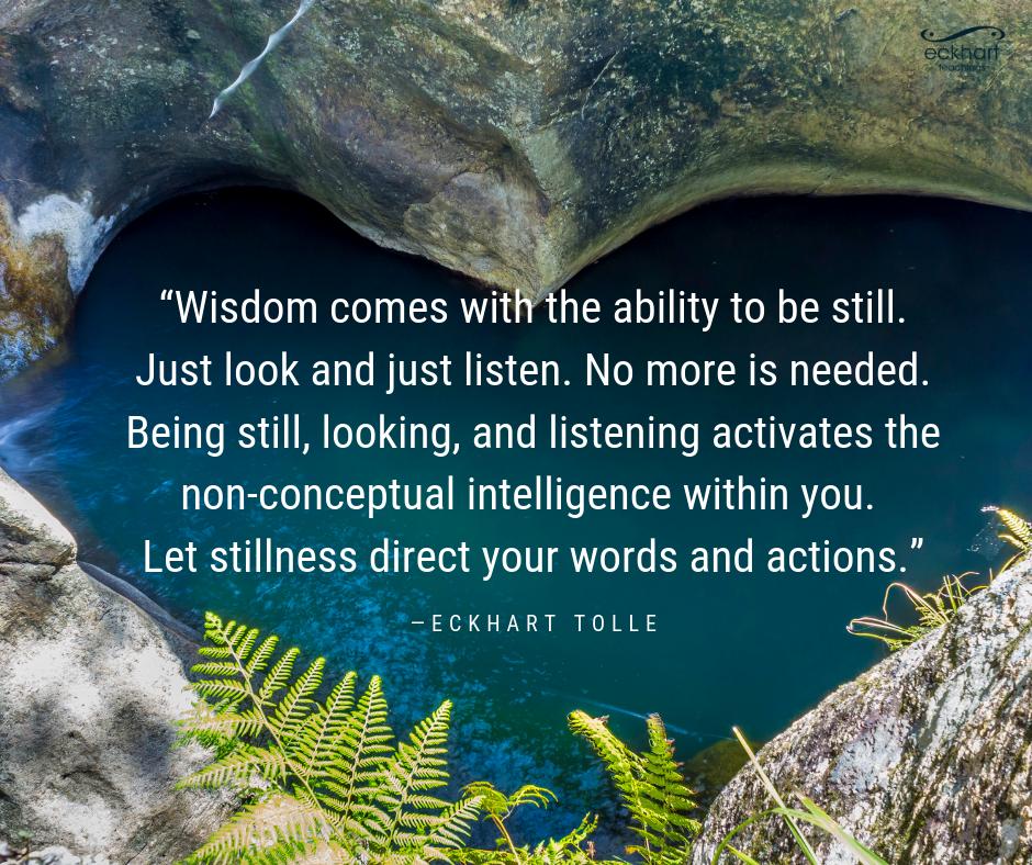 EckhartTolle's tweet image. “#Wisdom comes with the ability to be still. Just look and just #listen. No more is needed. Being #still, looking, and listening activates the non-conceptual intelligence within you. Let stillness direct your words and actions.”  - Eckhart Tolle