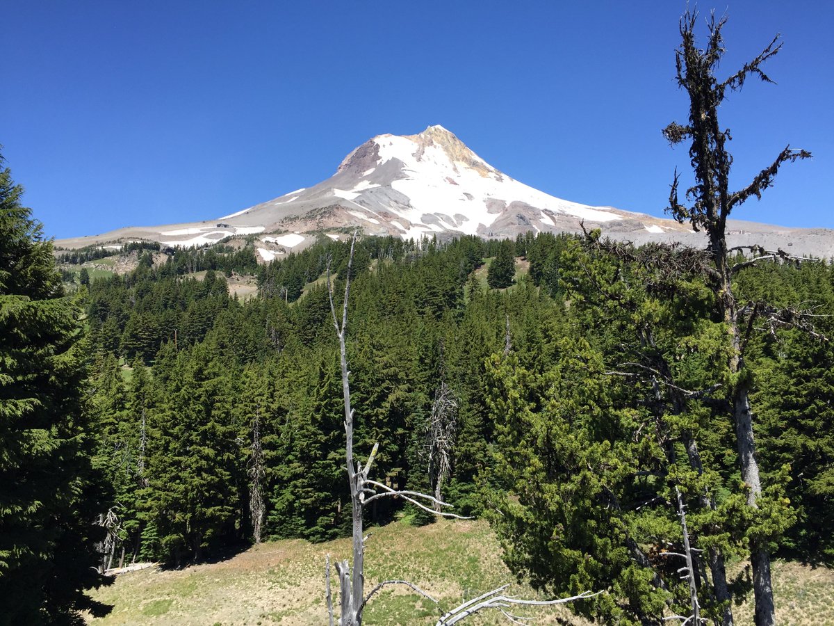 humanaccessproj's tweet image. With all this national &amp;amp; international turmoil - we know at least 1 thing you can get behind supporting - the restoration &amp;amp; preservation of our watershed! Head to #mthoodmeadows this weekend &amp;amp; enjoy some outdoor fun! Summer operations kickoff on July 5th! MtHoodMeadows.com/Summer