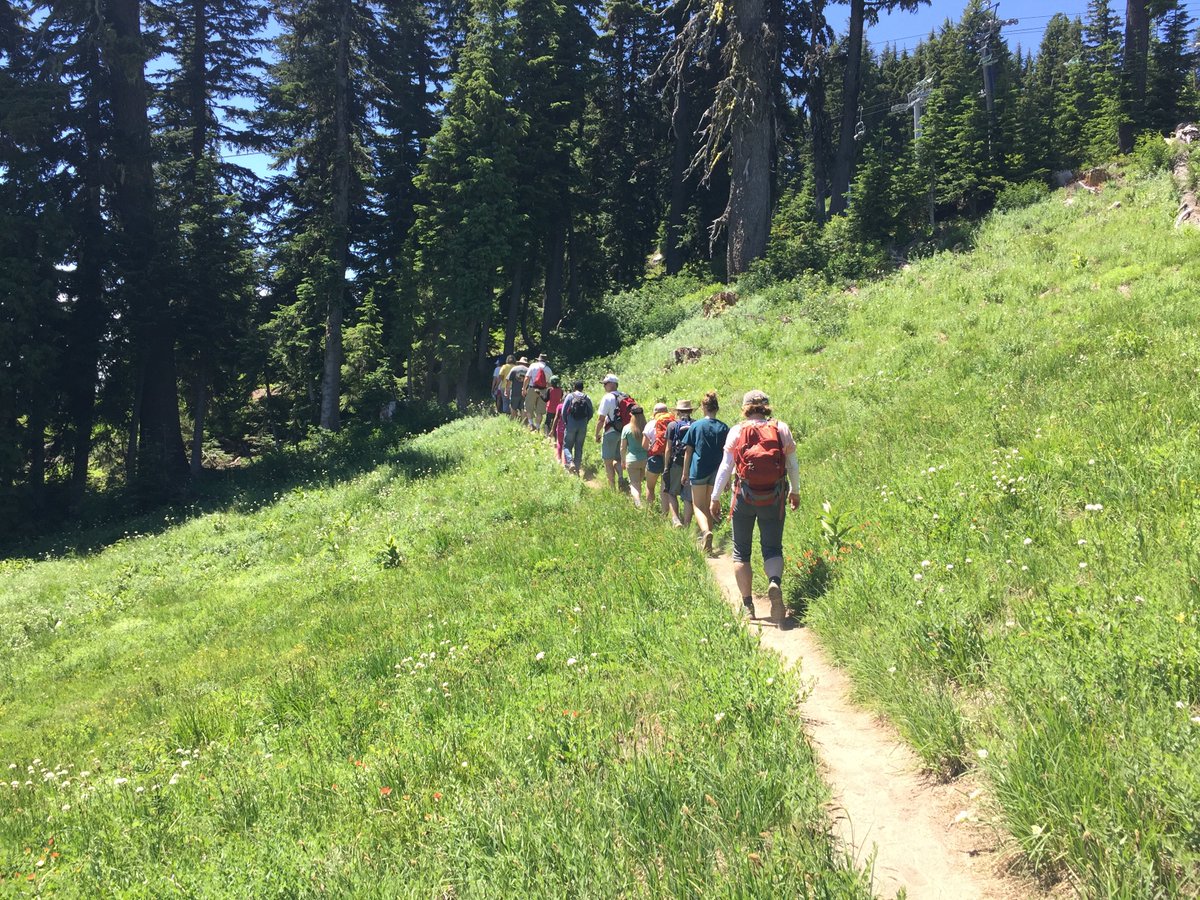 humanaccessproj's tweet image. With all this national &amp;amp; international turmoil - we know at least 1 thing you can get behind supporting - the restoration &amp;amp; preservation of our watershed! Head to #mthoodmeadows this weekend &amp;amp; enjoy some outdoor fun! Summer operations kickoff on July 5th! MtHoodMeadows.com/Summer
