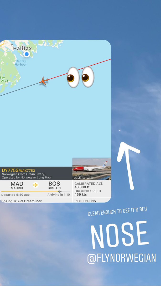 karliaa_b's tweet photo. Would love to see this one up close instead of at 43,000ft #avgeek #planespotting #toofaraway #coollivery #yhz https://t.co/hxFN6noDXO