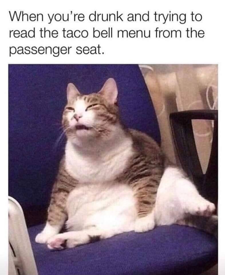 WinstonTabby's tweet photo. https://t.co/YCPe7oOmdS
