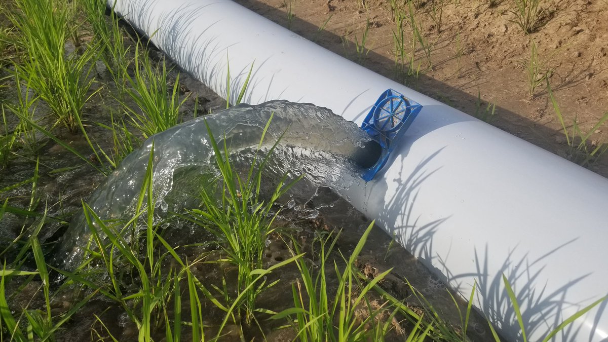 farmlifefarmer's tweet photo. Setup the @McCrometer flowcom with the @davisinst Enviromonitor today. Using UofA rice irrigation #MIRI app. Also using @davisinst mobilize app to track growing degree days and water flow data. #advancedIWM #Enviromonitor #TheFutureIsHere #WaterConservation https://t.co/aNM3GeAfs6