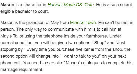 i neglected to mention earlier in this thread that ds cute actually has 1 more special boy bachelor: mason. mason is the dude from whom you order clothes over the phone but turns out if you call him 10 times you can get married