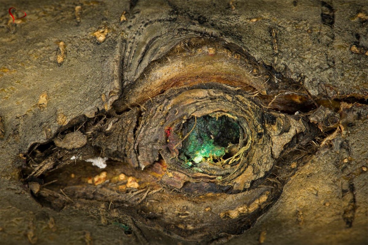 _LuvPhotography's tweet image. "#anotherworld #luvphotography #creativityisthekey #macrophotografy #paintingwithmydslr #theperfectlight" #FoursquareFind @_luvphotography 4sq.com/2YwZWem