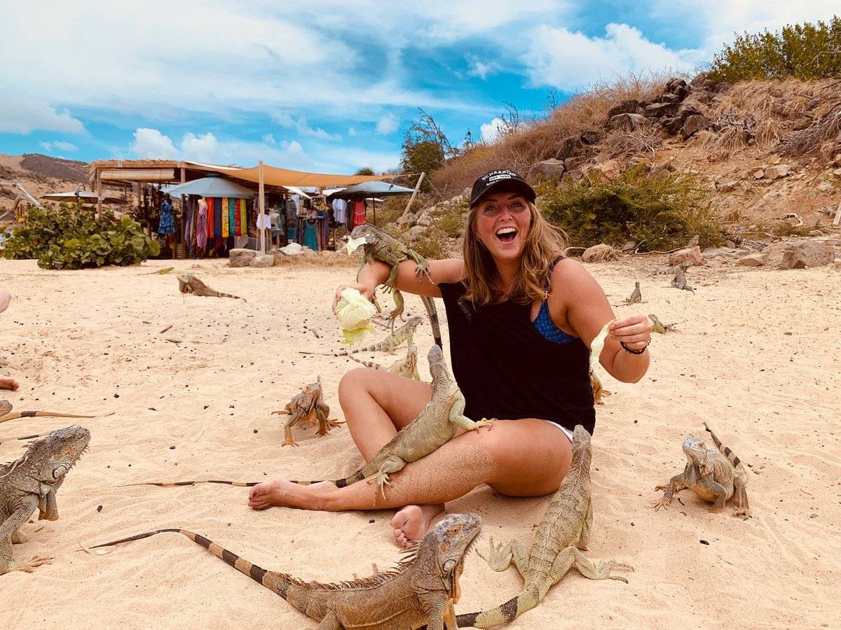 How about spending a day on Pinel? Spending it with all my Iguana friends #pinelisland #sxm #dutchcaribbean #islandliving #travel