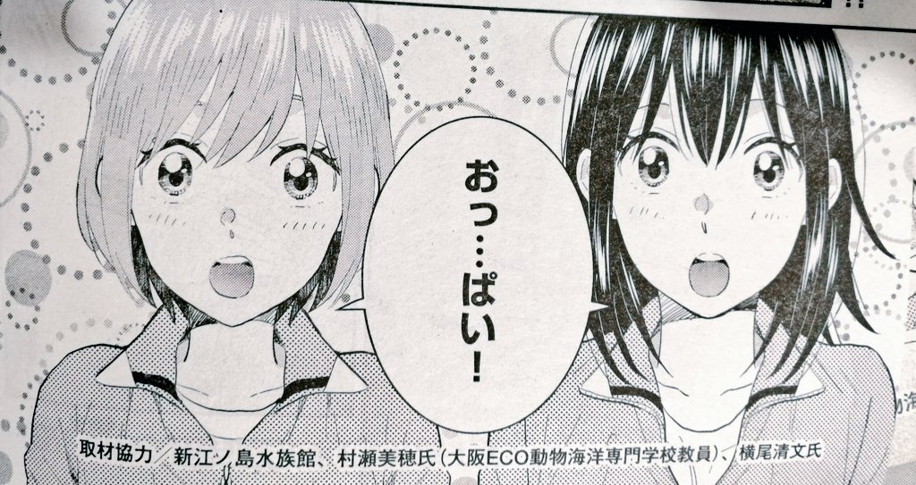 お知らせ 発売中の月刊スピリッツに 水族カンパニー 最終回載ってます ネタバ イシイ渡 連載準備中の漫画 お知らせ 発売中の月刊スピリッツに 水族カンパニー 最終回載ってます ネタバ イシイ渡 連載準備中の漫画