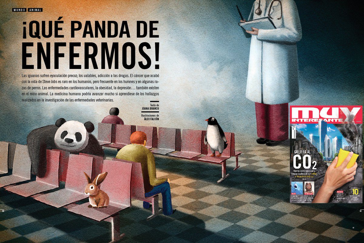 Las enfermedades cardiovasculares, la obesidad, la depresión… también  existen en el reino animal. La medicina humana podría avanzar mucho si  aprendiese de los hallazgos realizados en la investigación de las  enfermedades veterinarias., image size:1200x800