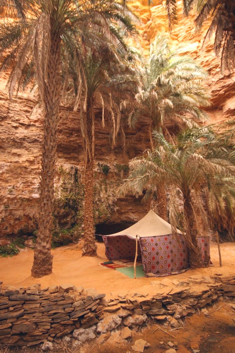 Sahilkhan1313 (@sahil13khan) on Twitter photo 