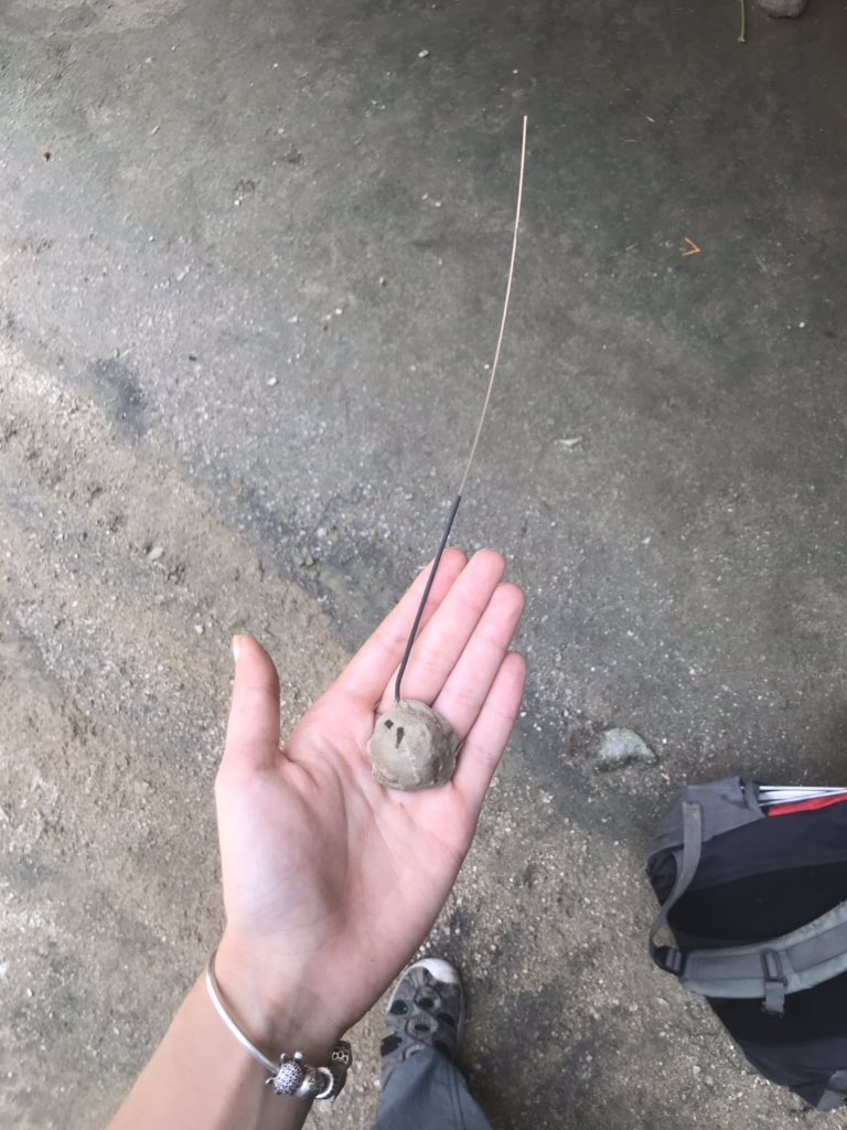 ang_wild_life's tweet image. So last week I found a transmitter missing the #turtle... and last night we found the turtle to be reunited with his transmitter 🥳 (sorry buddy, you’ll have to be stalked for a bit longer). #fieldworkwin