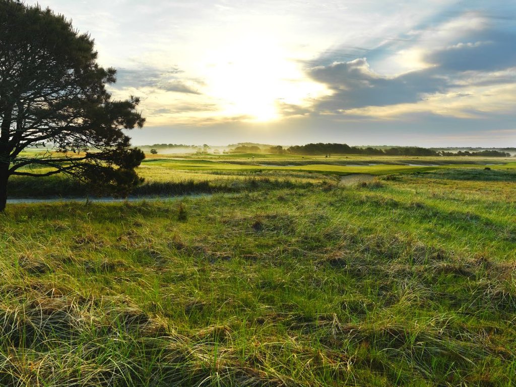 GolfTraveler Joe ⛳️ tweet media