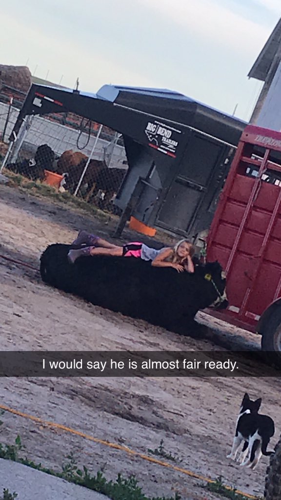 thecirclelranch's tweet photo. O the life of a ranch girl!! #fairready https://t.co/ontSdoOA63