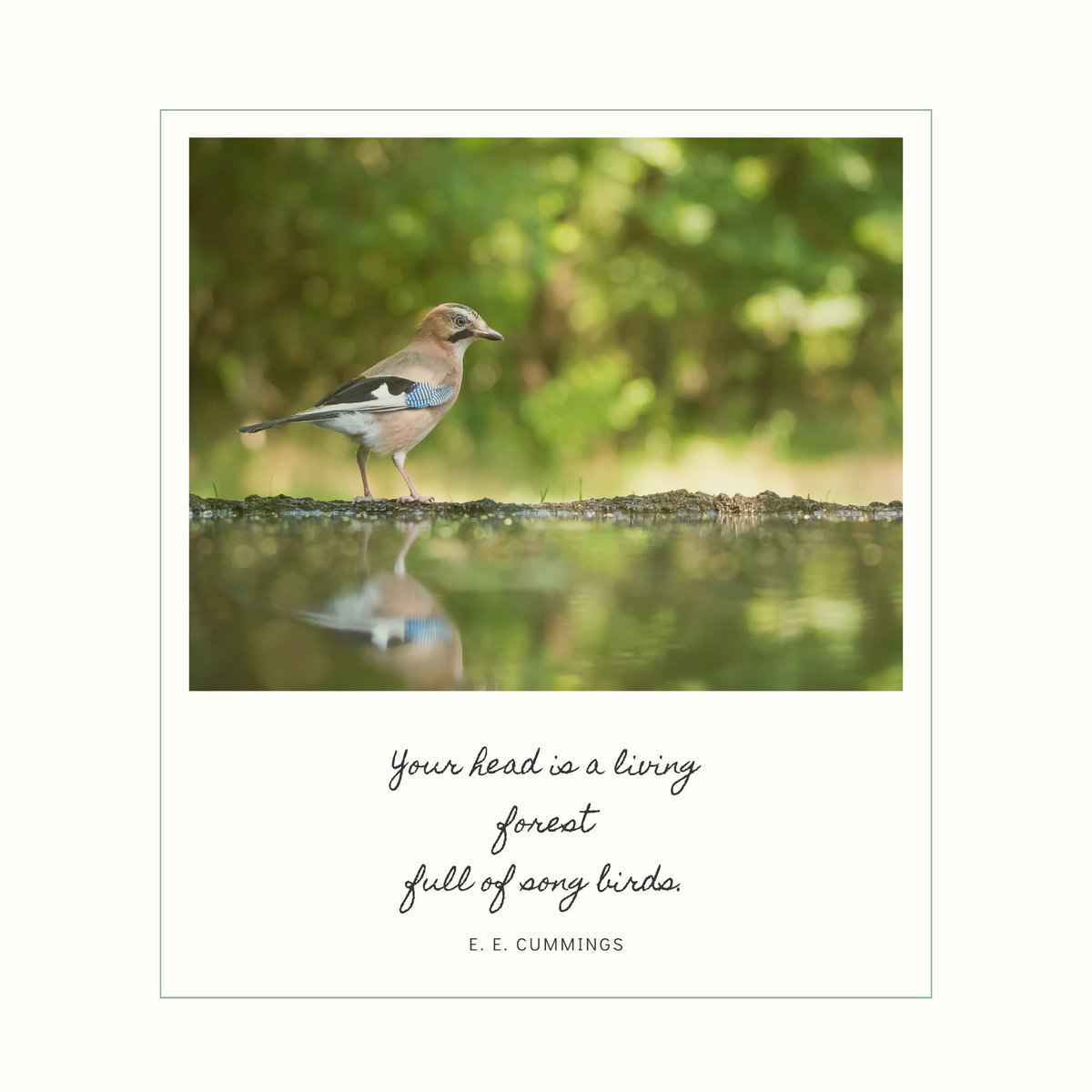 beyondbrandable's tweet photo. Feeling grateful tonight for the gift of #poetry to express how my mind feels at the moment - many songs which sound like they might be competing...but are actually composing a chaotic, beautiful symphony 🎼 #neurodiversity #creativity #designmylife https://t.co/W03zeuMIZb