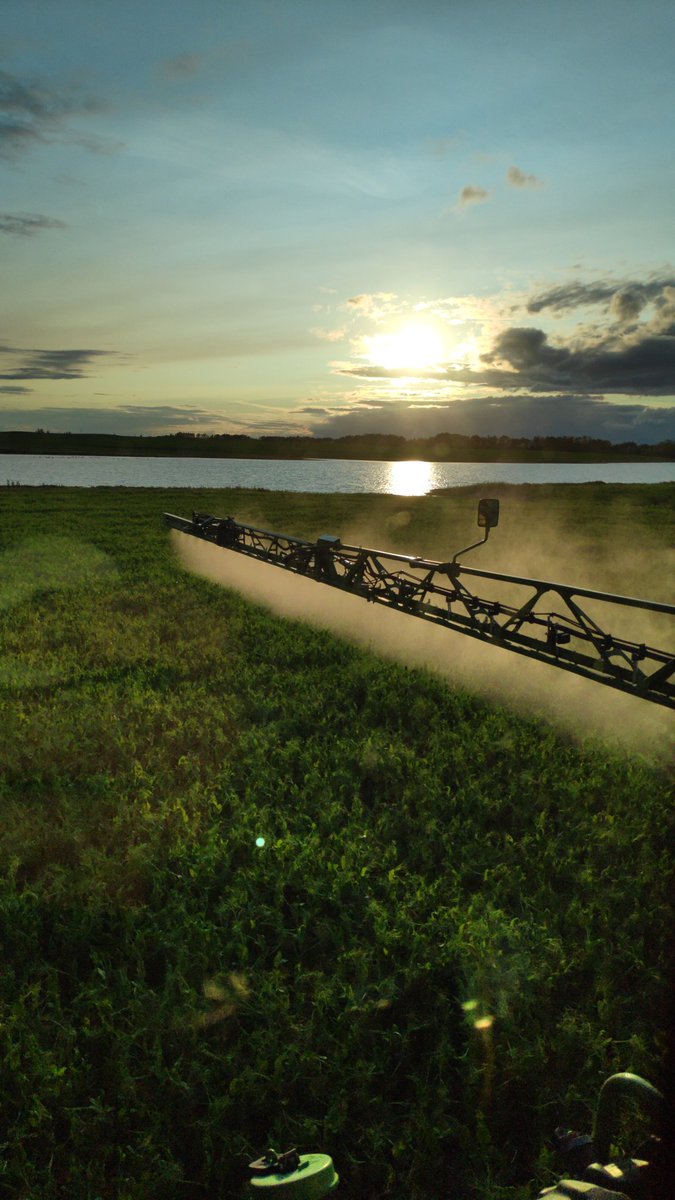 MichealWpf's tweet image. Fungicide time for the peas. #coverageiskey