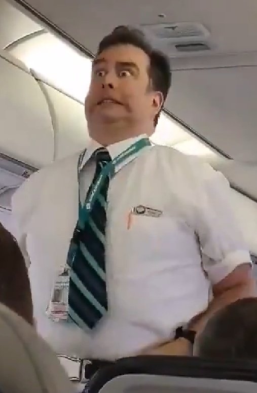 Ekspresi Pramugara Pesawat Westjet