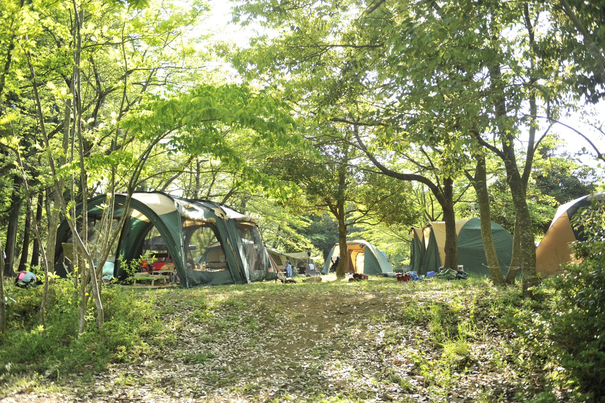 ファミリー向けの関西キャンプ場と言えば、グリーンパーク山東キャンプ場(*´ー｀) https://t.co/LnVIVIhyuK...