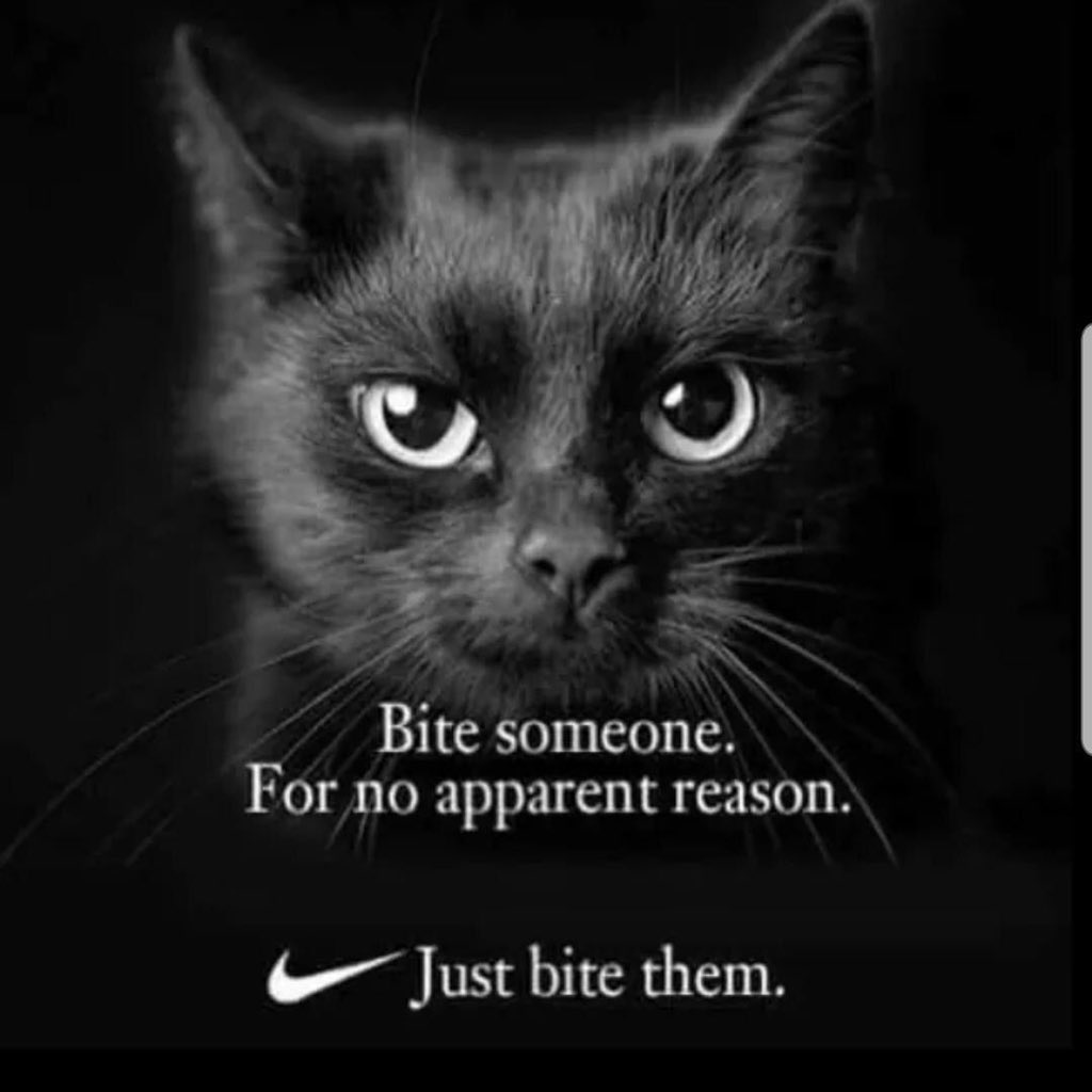 BoogPlum's tweet photo. @Redsfreaky https://t.co/n15AMbJ9ez