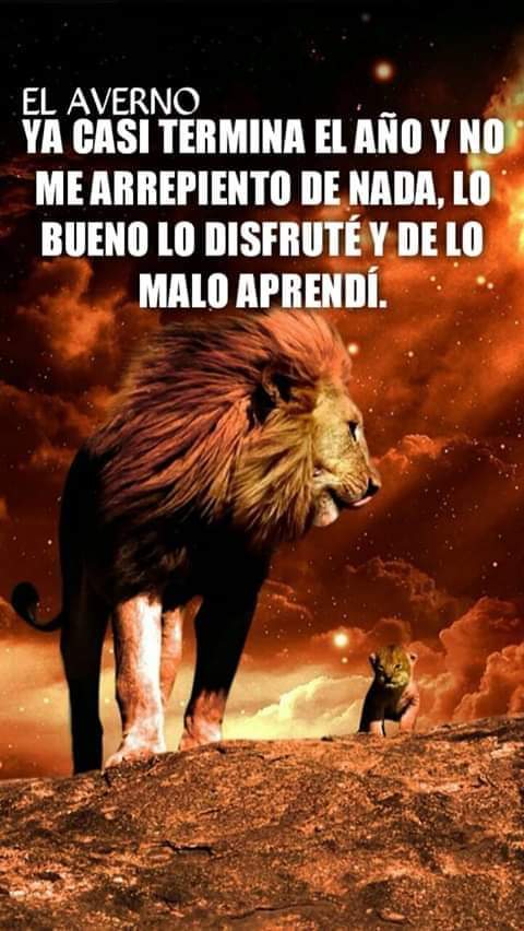 walterllamocadiaz tweet media