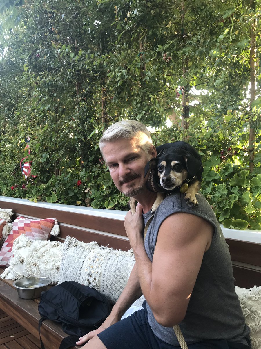 jgriffith615's tweet photo. Took the Scooby to #HappyHour #Rescue #PostPoolTime #WeHoDog #VPD #GTV #VanderDaddy #VanderPup #ChihuahuaMix #YnR #YoungnRestless #Adoption #SpaynNeuter @DannyRonsRescue @plannergirl33 https://t.co/IaCc45i6qv