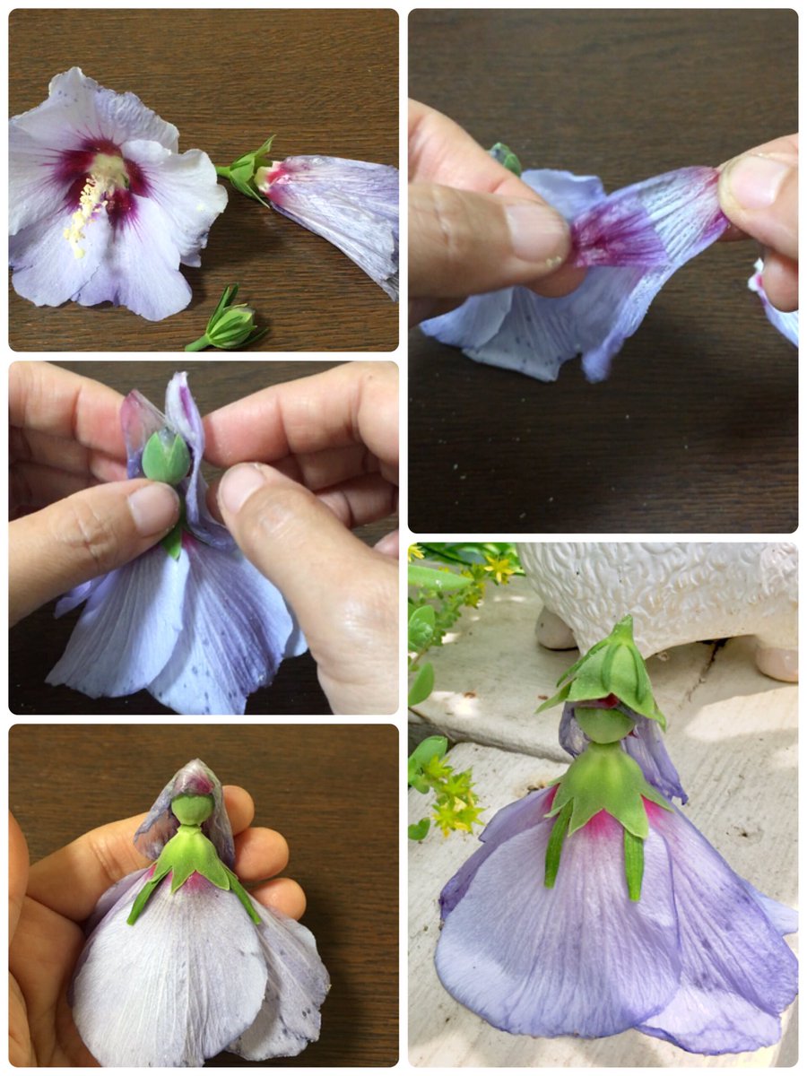 Inori ムクゲの花で女の子を作りました 咲いている花 しぼんだ花 蕾 一つずつです しおれた花の花びらを二枚に割き 内側のベトベトを使って蕾の頭に付けます ガクが帽子のような形なので被せると髪型が失敗しても大丈夫です 作り方の動画は次に