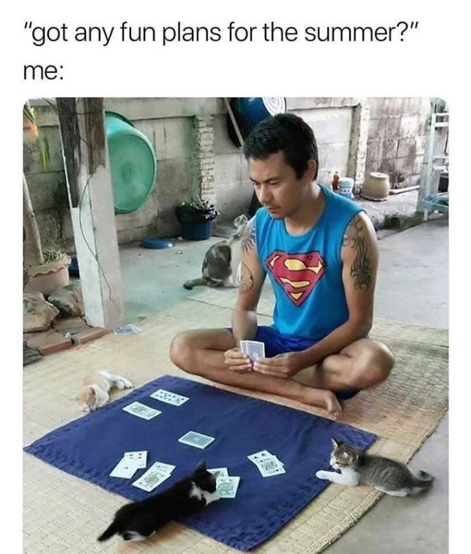 justviralnet's tweet photo. If You're Having A Bad Day, Here's 50 Pictures To Turn That Frown Upside Down - https://t.co/zki4wYy72j https://t.co/zlWiGxowMr https://t.co/ubvl1YO3Yg